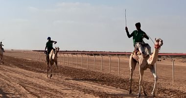 ختام مهرجان سباق الهجن فى العلمين بأشواط تراثية تحاكى العصور القديمة.. صور