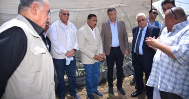 وزير الزراعة ومحافظ مطروح يوزعان 50 ألف شتلة زيتون على المزراعين مجانًا