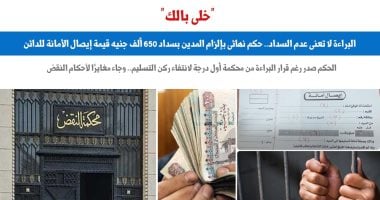 "الاستئناف": البراءة فى إيصالات الأمانة لانتفاء ركن التسليم لا يعنى عدم السداد.. برلمانى