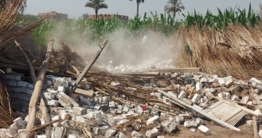 محافظة الجيزة: تنفيذ 111 حالة إزالة لتعديات على أراضى زراعية بالمراكز