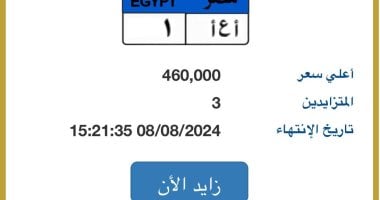 سعر لوحة سيارة "أ ع أ- 1" المميزة يصل 460 ألف جنيه.. و3 مزايدين عليها