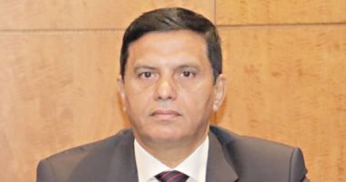 النائب طارق نصير: دعوات التظاهر أمام السفارات محاولات بائسة لتشويه دور مصر