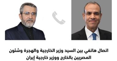 بدر عبد العاطى ونظيره الإيرانى