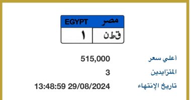 المزاد على لوحة "ق ط ن - 1" المميزة يتخطى نصف مليون جنيه