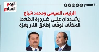 الرئيس السيسى ومحمد شياع يشددان على ضرورة الضغط المكثف للتهدئة بغزة.. إنفوجراف