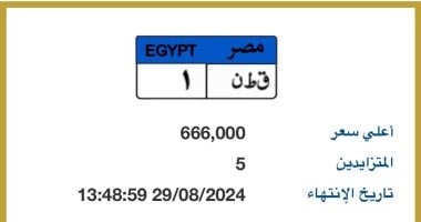 مزاد على لوحة "ق ط ن- 1" المميزة بسعر يتخطى نصف مليون جنيه