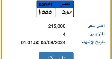 لوحتك بإسمك.. سعر لوحة "س ي ف- 1555" المميزة يصل 215 ألف جنيه