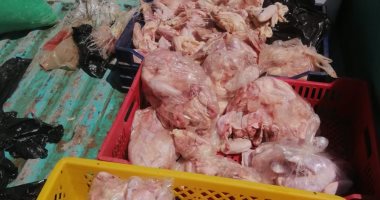 التحفظ على 2.3 طن أسماك ولحوم غير صالحة للاستهلاك الآدمى بكفر الشيخ