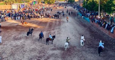 أهالى الأقصر يحتفلون بالمولد النبوى بسباقات خيالة الصعيد.. فيديو