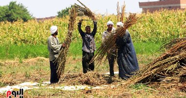 4 مهام رئيسية لوزارة الزراعة فى دعم الفلاح.. تعرف عليها