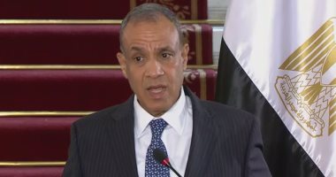 وزير الخارجية: وقف العدوان على غزة يمنع انزلاق المنطقة فى حرب إقليمية