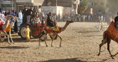 أجواء احتفالات صباحية بالمولد النبوى الشريف فى الأقصر.. مسيرات بالجمال والخيول والعربات تجوب القرى والنجوع وسط فرحة الأطفال.. ودورة الكرنك والعوامية بالشوم والعصى.. والمزمار والطبل الصعيدى أبرز المشاهد