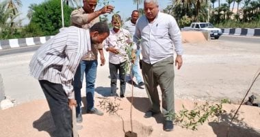 مواصلة أعمال التشجير وزراعة الشتلات بمركز البدارى ضمن مبادرة "100 مليون شجرة"