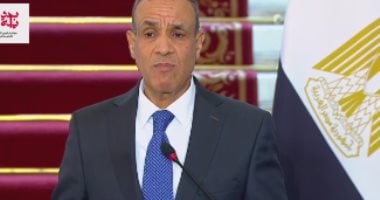 وزير الخارجية: مذكرة تفاهم بمجالات المفاعلات النووية بين مصر والمجر