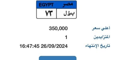 طرح لوحة مميزة تحمل أرقام "ب ط ل- 73” بالمزاد وسعرها يصل 350 ألف جنيه