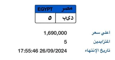 5 أشخاص يزايدون على لوحة "د ي ب- 5" المميزة والسعر يتخطى 1.5 مليون جنيه