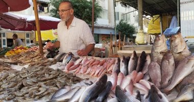 كلمارى وجمبرى.. السمك أشكال وألوان داخل أسواق الأسماك بالإسكندرية "فيديو"