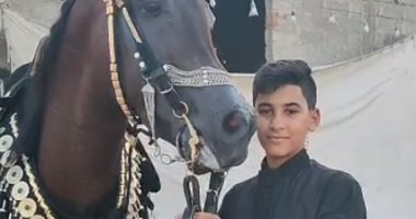 أصغر فارس بمسابقة أدب الخيل.. عبدالله 12 سنة مهارة أبهرت الحاضرين.. فيديو