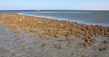 ميناء الملك خوفو الأقدم فى التاريخ.. يقع فى الزعفرانة شمال البحر الأحمر.. أنشئ للوصول إلى سيناء لجلب "الملاخيت" أكسيد النحاس لعمل آلالات النحت قديما.. وعثر بداخله على 30 كهفا تستخدم مخازن للمراكب.. صور