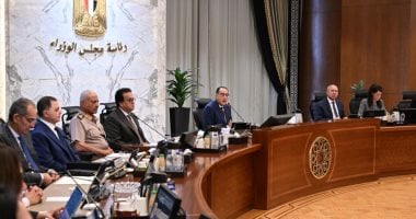 الوزراء يوافق على 2200 جنيه سعراً استرشادياً لأردب القمح موسم 2024/2025   