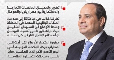 الرئيس السيسي من إريتريا: اتفقنا على تقديم كافة أشكال الدعم للصومال.. إنفوجراف