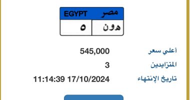 "هـ و ن- 5" لوحة مميزة جديدة يزايد عليها 3 أشخاص بسعر يتخطى نصف مليون جنيه 