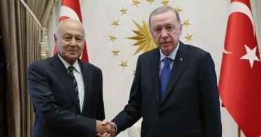 أبو الغيط يلتقى أردوغان.. ويؤكد تقديره لمواقف أنقرة الداعمة لفلسطين