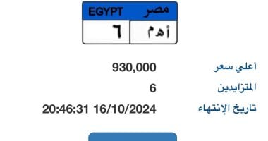 سعر لوحة "أ هـ م- 6" المميزة يقترب من المليون جنيه و6 أشخاص يتنافسون