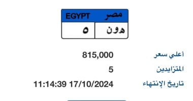 سعر لوحة "هـ و ن- 5" المميزة يصل لـ 815 ألف جنيه و5 أشخاص يتنافسون عليها