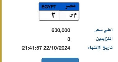 المزايدة على لوحة “م س- 3” المميزة تصل لـ630 ألف جنيه و3 أشخاص يتنافسون عليها