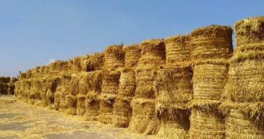 جهاز شؤون البيئة بالشرقية يحرر 524 محضر حرق قش أرز