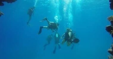 وزارة السياحة تدفع بلجان للتفتيش على مراكز الغوص والأنشطة البحرية بالبحر الأحمر