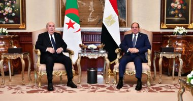 دبلوماسى سابق: لقاء الرئيس السيسى بنظيره الجزائرى يعزز العلاقات الثنائية