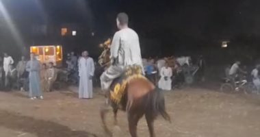 بالطبل والمزمار.. شاهد رقص الخيل فى عادة سنوية لأهالى قرية الشيخية بقنا