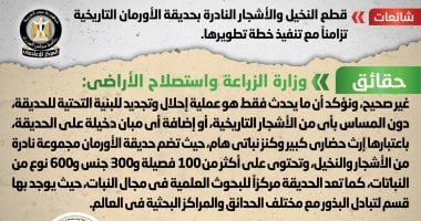 الحكومة تنفى قطع نخيل وأشجار نادرة بحديقة الأورمان تزامناً مع تطويرها 