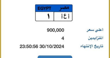 "أ ع أ - 1" نمرة مميزة بمزاد لوحات السيارات سعرها يقترب من مليون جنيه 