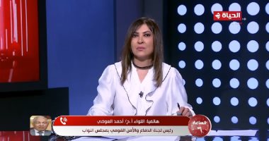 رئيس "دفاع النواب": مشروع قانون تنظيم أوضاع اللاجئين فى مصر هدفه التقنين