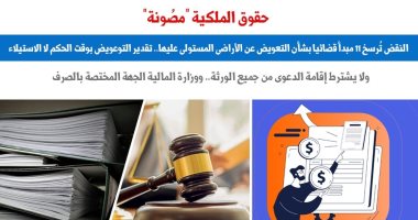 النقض تُرسخ 11 مبدأ قضائيا بشأن التعويض عن الأراضى المستولى عليها.. برلمانى
