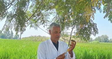 طب بيطرى الزقازيق يوجه قافلة مجانية لقرية كفر النجار مركز أبو كبير