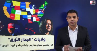 ولايات "الجدار الأزرق".. هل تحسم سباق هاريس وترامب نحو البيت الأبيض.. فيديو