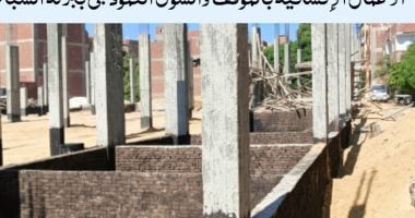 محافظ المنوفية: تنفيذ مشروعات خدمية وتنموية ببركة السبع باستثمارات تقارب 87 مليون جنيه    