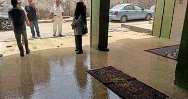 تحرير 15 محضرا بيئيا بنطاق مدينة الإسماعيلية لمحال غسيل السيارات