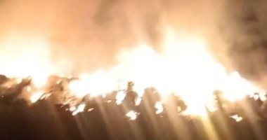 بعد إخماده.. صاحب شونة لجمع قش الأرز بالدقهلية يتهم جاره بالتسبب فى الحريق