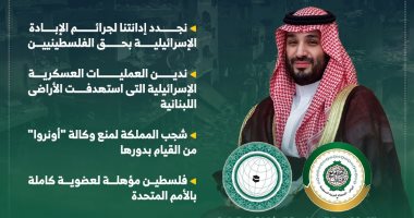 ولى العهد السعودى: فلسطين مؤهلة لعضوية كاملة بالأمم المتحدة (إنفوجراف)