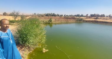 أول مزرعة حكومية لإنتاج سمكة "المبروكة" صديقة البيئة.. فيديو جانب من المزرعة الحكومية