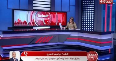 برلماني: قانون لجوء الأجانب الجديد لا يتضمن فرض رسوم إضافية