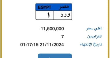 سعر لوحة "و ر د - 1" المميزة يصل لـ11 مليون جنيه و7 مزايدين يتنافسون عليها