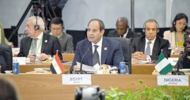 محمد الجالى يكتب: مصر تفضح المعايير المزدوجة للنظام العالمى أمام قمة مجموعة العشرين.. الرئيس السيسى يستثمر الحدث الكبير  للمطالبة بحشد الإرادة السياسية وإعادة النظر فى النهج الدولى الحالى 