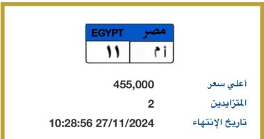 لوحة معدنية مميزة سعرها يقترب من نصف مليون جنيه.. اعرف تفاصيل المزاد