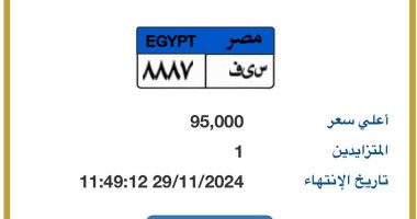 "ن و ر " و"س ى ف" .. الإعلان عن أحدث لوحات مميزة بالمزاد بسعر 95 ألف جنيه